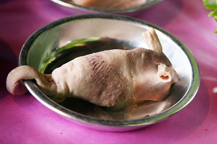 「五生」中的豬肚造成老鼠形狀