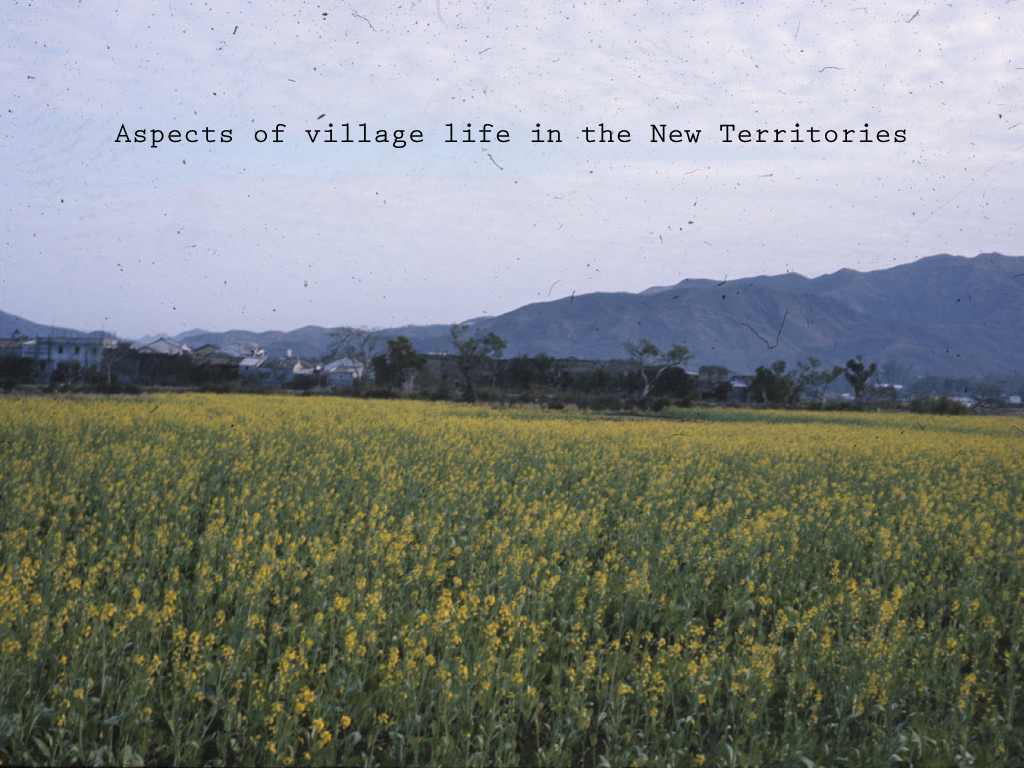 Aspects of Village Life in the New Territories Illustration