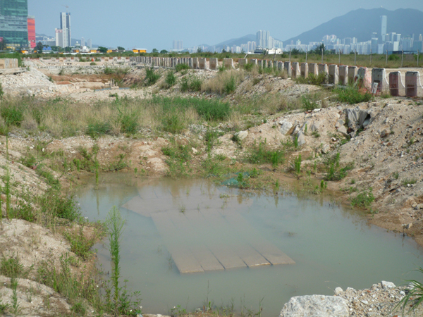 龍津橋遺跡