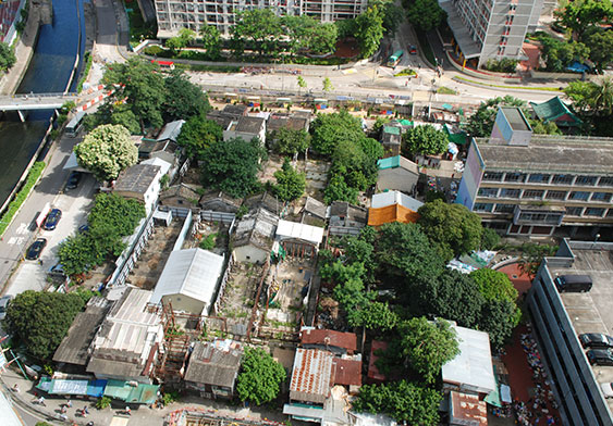 Nga Tsin Wai village is now overgrown with trees