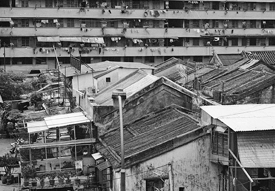 Climbing onto the roof to watch flying shows