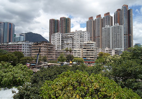 雨后的衙前围