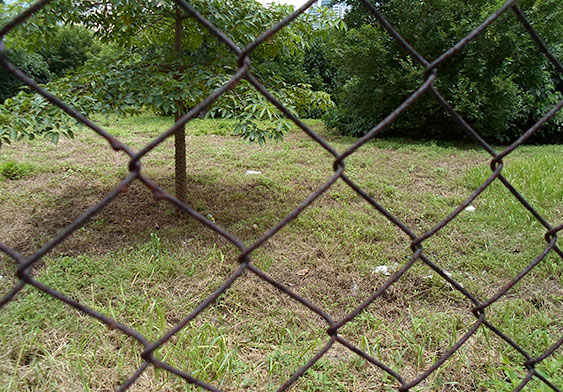 Ruins of Tai Hom Village