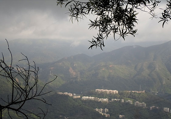 The view overlooking Shatin from Lion Rock