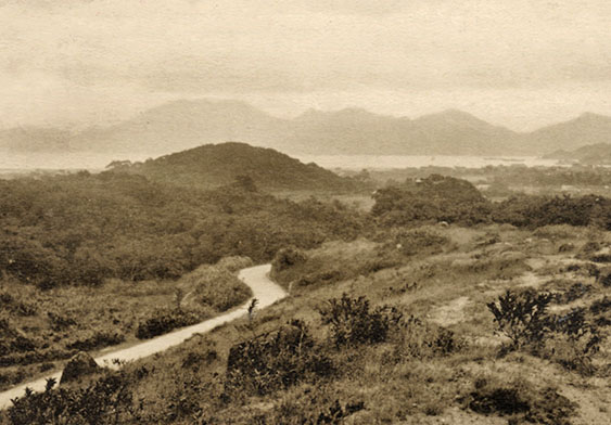 The view overlooking Shatin Pass