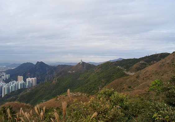 飞鹅岭的山势