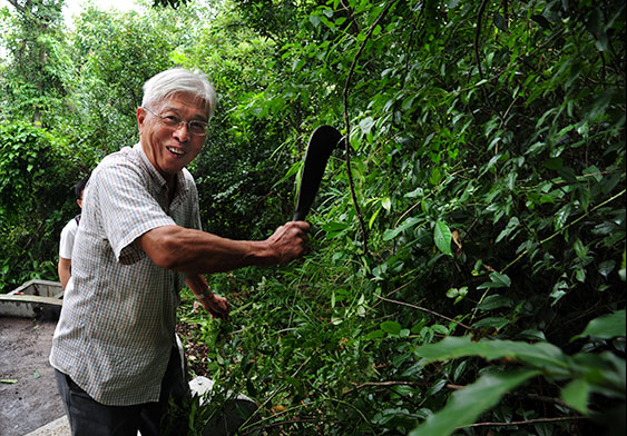 Grass-cutting Ng Fat Chuen 