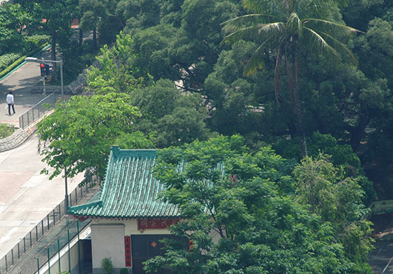 Shops behind Ancestral Hall