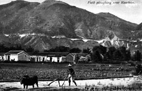 Farmland in Kowloon