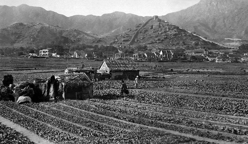 Farmland in Kowloon City(2)