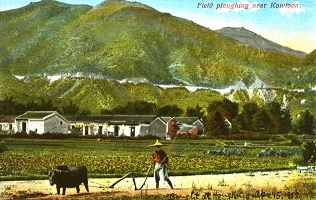 Farmland in Kowloon