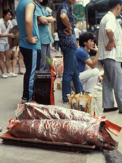 Roasted pigs given as offerings to Tin Hau