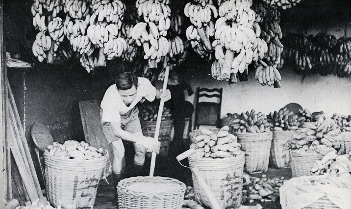 工人打理水果。油麻地果欄，1950年代。