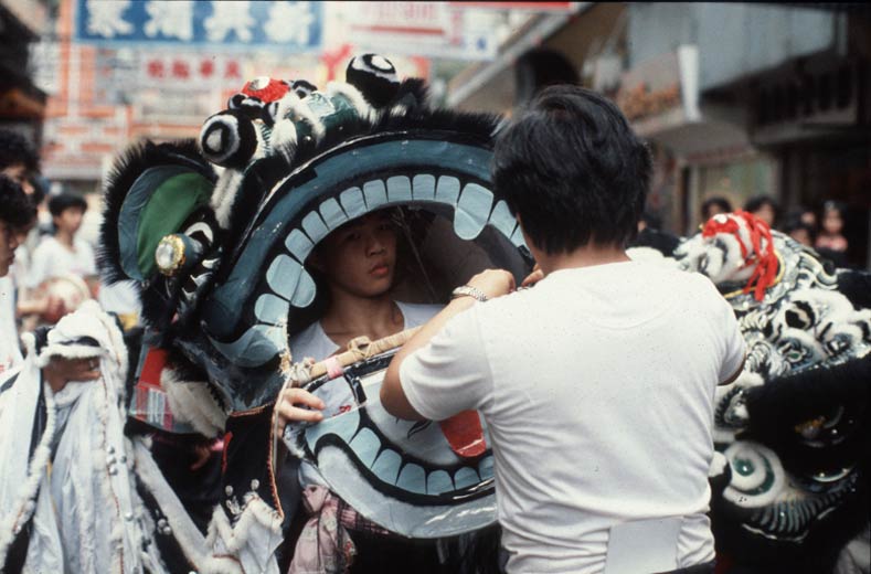 整理狮身