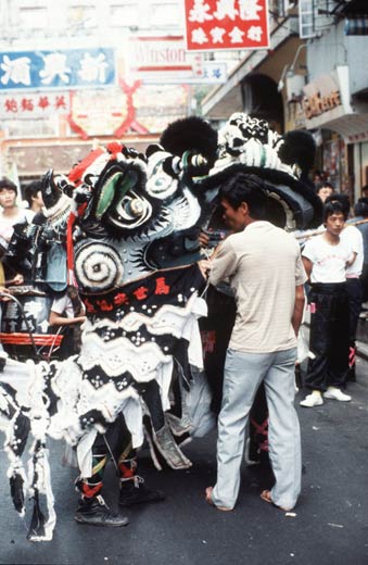 训示狮队