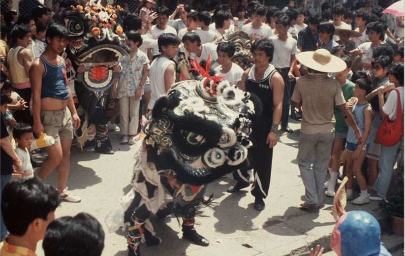 The lion dances in homage