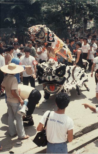 The dancing lion